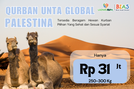 Qurban Unta untuk Saudara Palestina