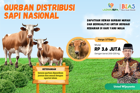 Qurban Sapi Distribusi Nasional